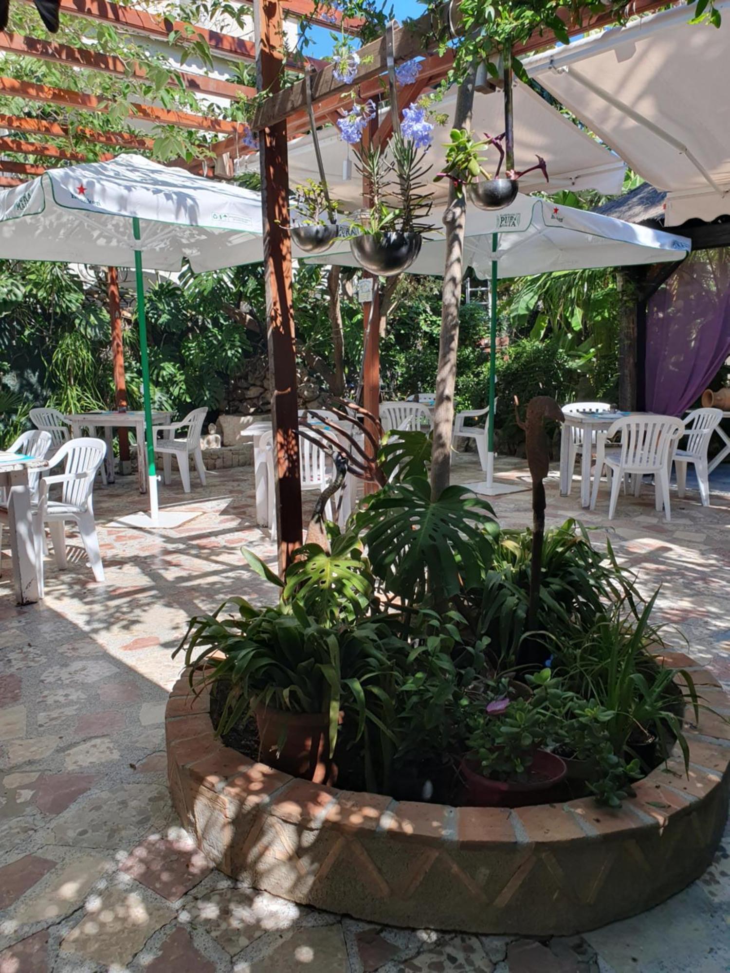 Hostal Mi Campana Dénia Exterior foto